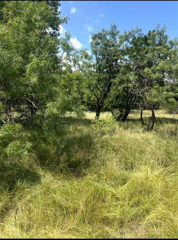 Vacant Land For Sale - LOT 591 S Lakeside Drive<br/> May, TX 76857