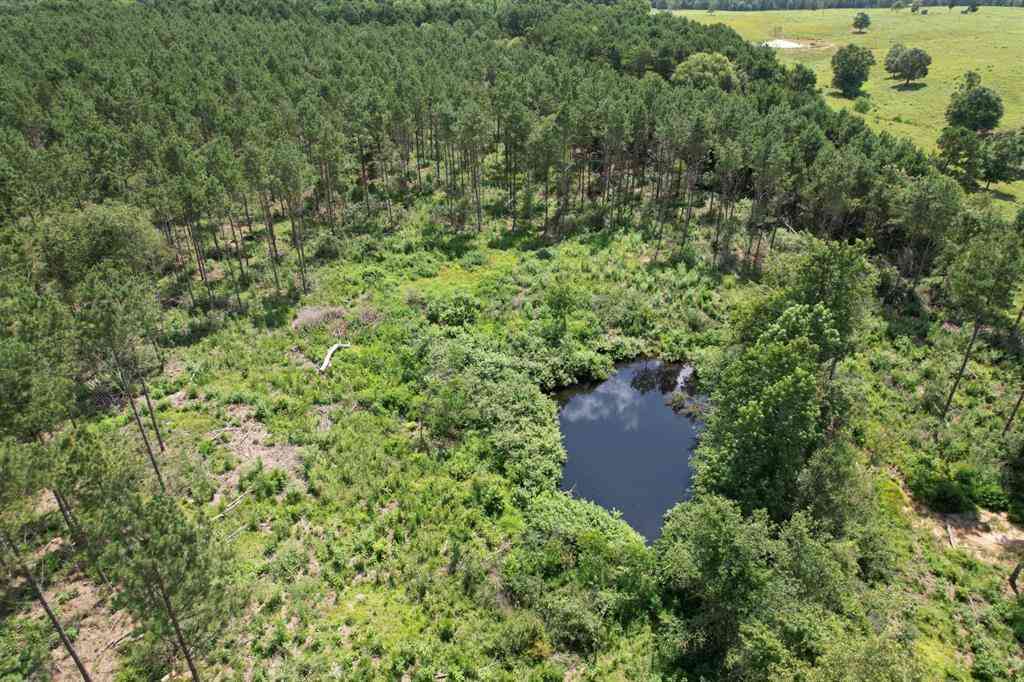 Vacant Land For Sale - TBD County Road 3706<br/> Tenaha, TX 75974