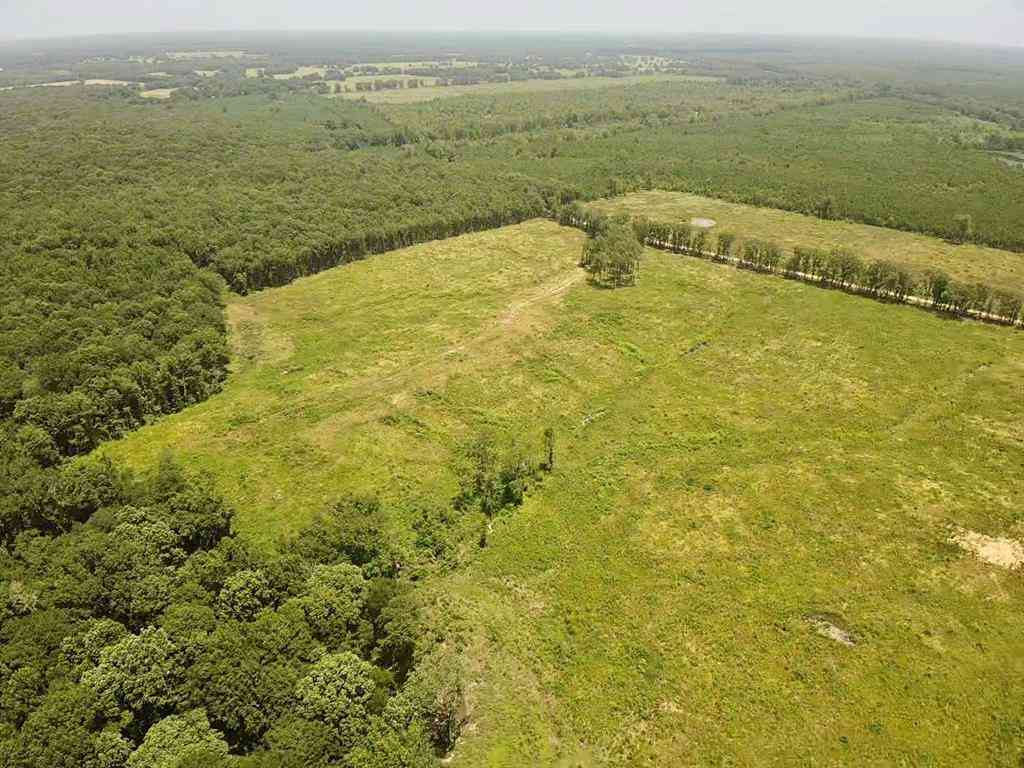 Vacant Land For Sale - 0000 County Road 4307<br/> De Kalb, TX 75559