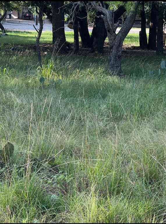 Vacant Land For Sale - LOT 653 S Lakeside Drive<br/> May, TX 76857
