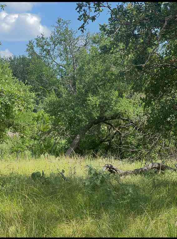Vacant Land For Sale - LOT 692 S Lakes Drive<br/> May, TX 76857