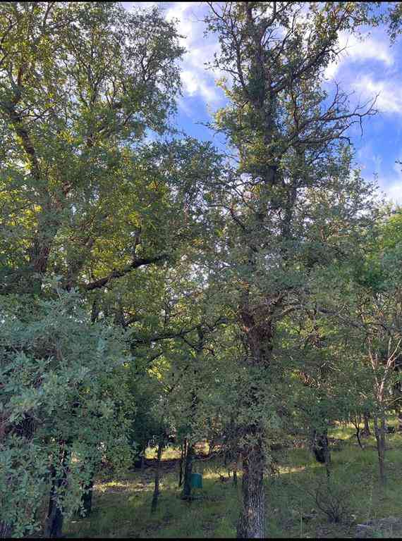 Vacant Land For Sale - LOT 707 S Lakes Drive<br/> May, TX 76857