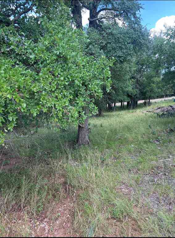Vacant Land For Sale - LOT 940 Oak Point Drive<br/> May, TX 76857