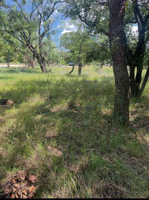 Vacant Land For Sale - LOT 933 Oak Point Drive<br/> May, TX 76857