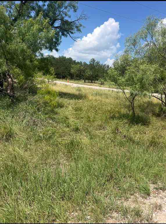 Vacant Land For Sale - LOT 917 Oak Point Drive<br/> May, TX 76857
