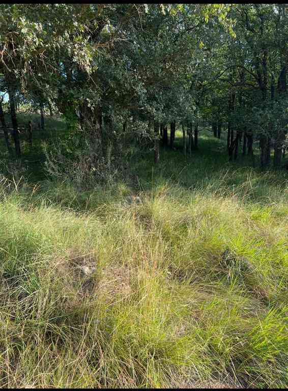 Vacant Land For Sale - LOT 914 Oak Point Drive<br/> May, TX 76857