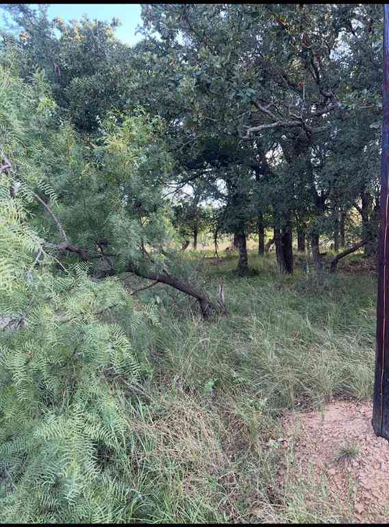 Vacant Land For Sale - LOT 961 S Lakes Drive<br/> May, TX 76857