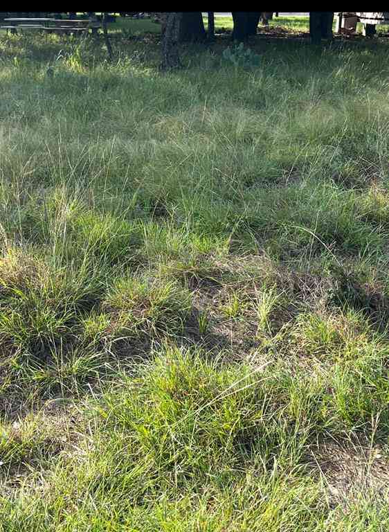 Vacant Land For Sale - LOT 790 Oak Point Drive<br/> May, TX 76857