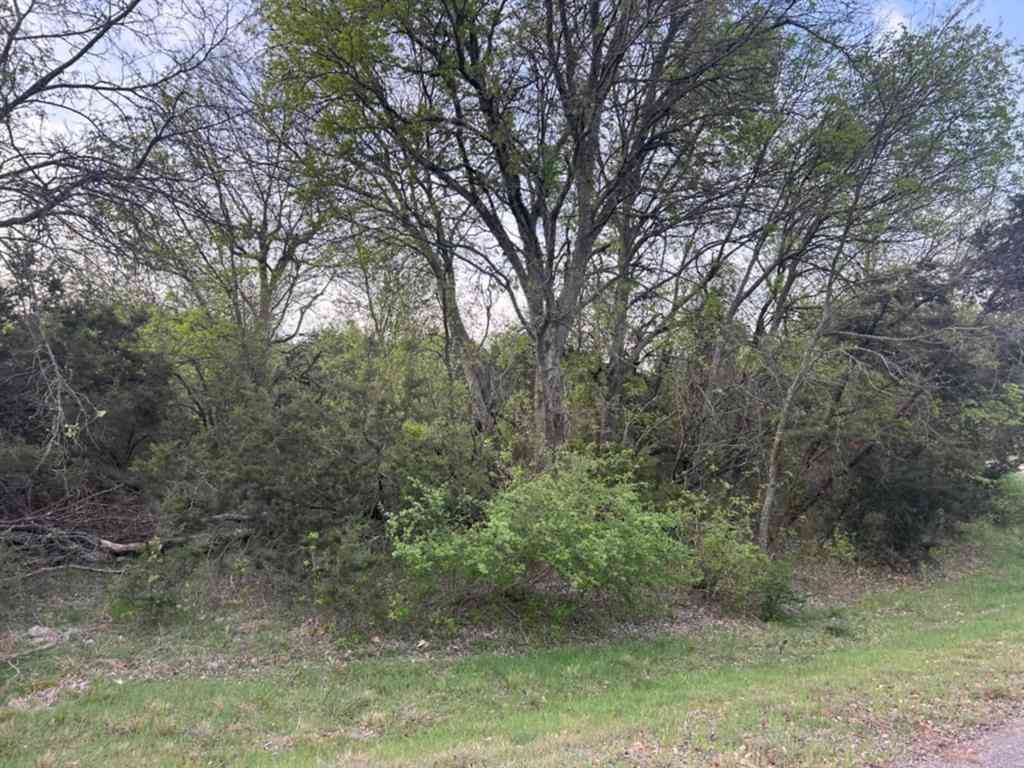 Vacant Land For Sale - 0000 Private Road 1212<br/> Kopperl, TX 76652