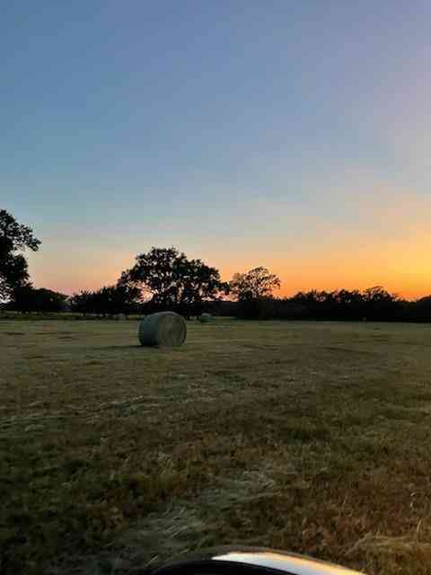 Vacant Land For Sale - 61.32 ACRES County Road 3417<br/> Emory, TX 75472