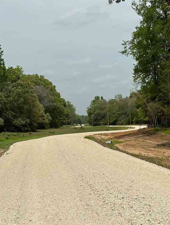 Vacant Land For Sale - 009 County Rd 242<br/> Leon County, Oakwood, TX 75855