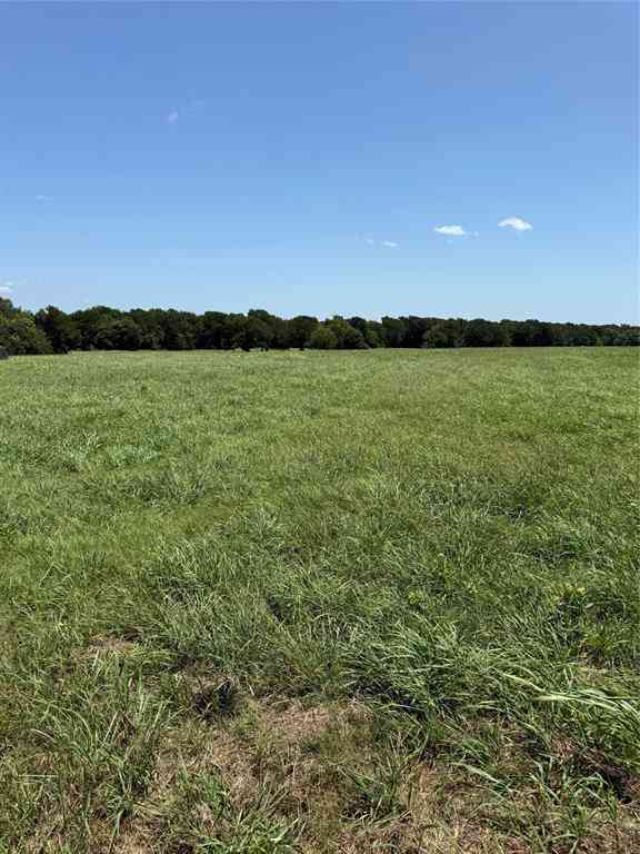 Vacant Land For Sale - 19774 Fm 47<br/> Wills Point, TX 75169