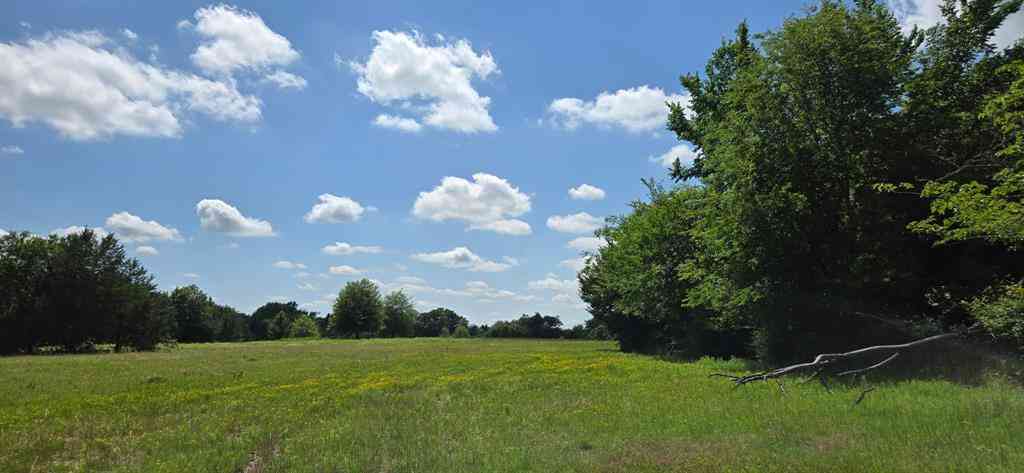 Vacant Land For Sale - 12077 County Road 1200<br/> Malakoff, TX 75148