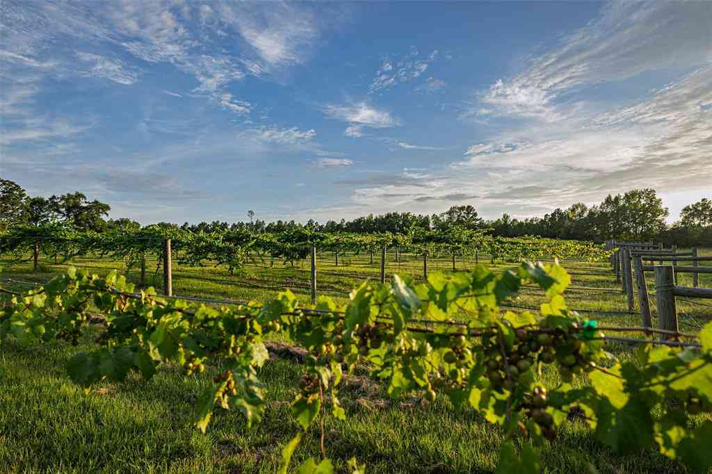 Vacant Land For Sale - 00 County Road 2138<br/> Troup, TX 75789