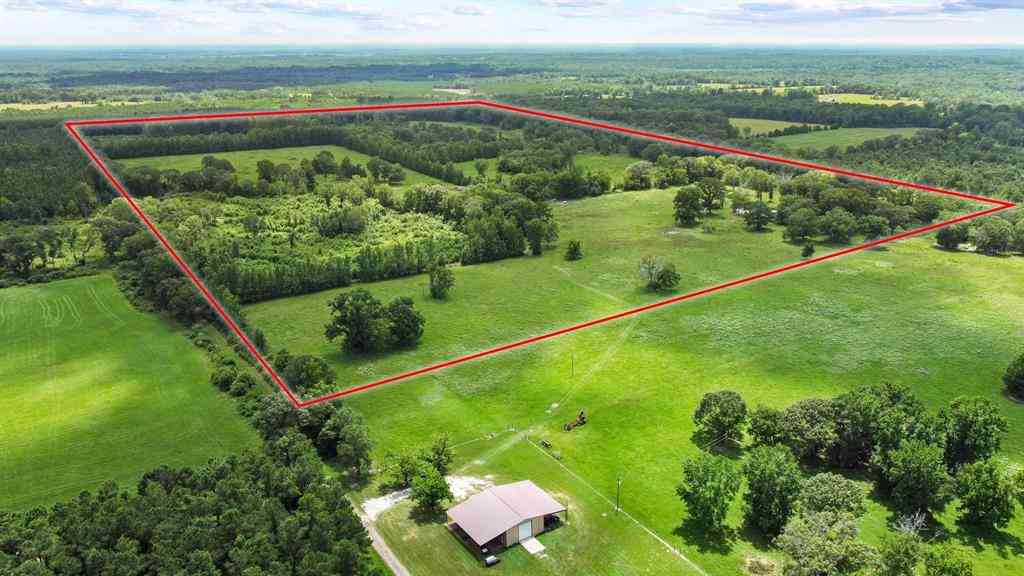 Vacant Land For Sale - 0000 County Road 4427<br/> Avery, TX 75554