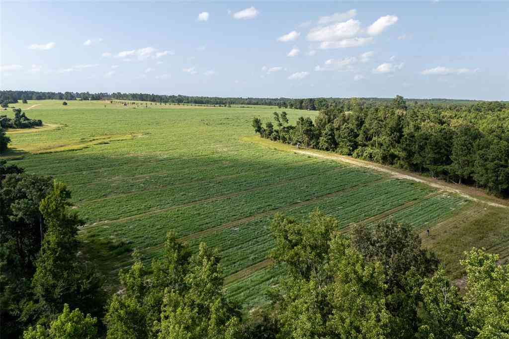 Vacant Land For Sale - 00 County Road 2180<br/> Grapeland, TX 75844