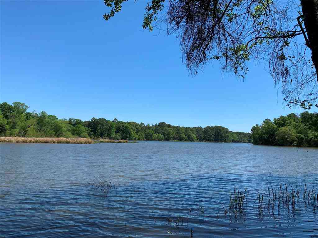 Vacant Land For Sale - 000 Fm-3506<br/> Frankston, TX 75763