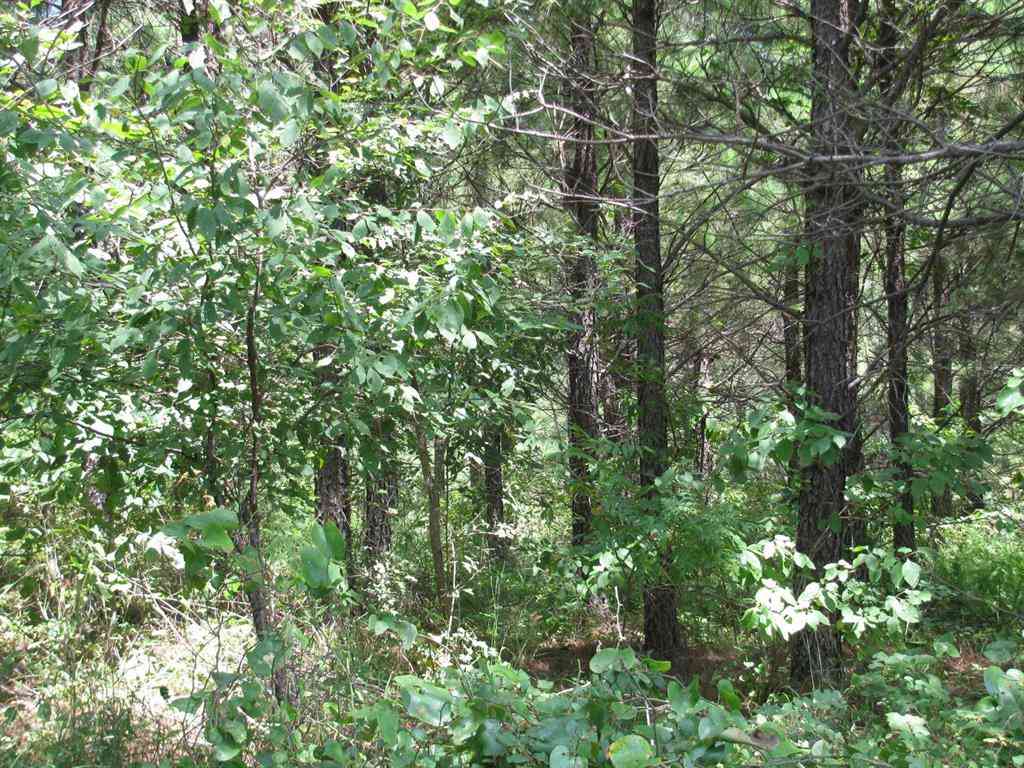 Vacant Land For Sale - TBD Jace's Trail<br/> Nashoba, OK 74558