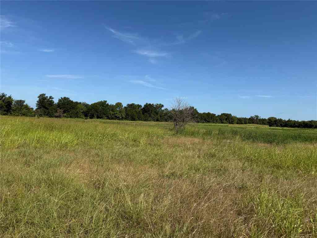 Vacant Land For Sale - TRACT 2 County Road 5045<br/> Leonard, TX 75452