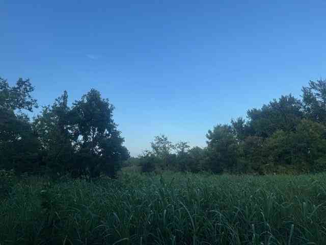 Vacant Land For Sale - TBD Fm 1512<br/> Groesbeck, TX 76642