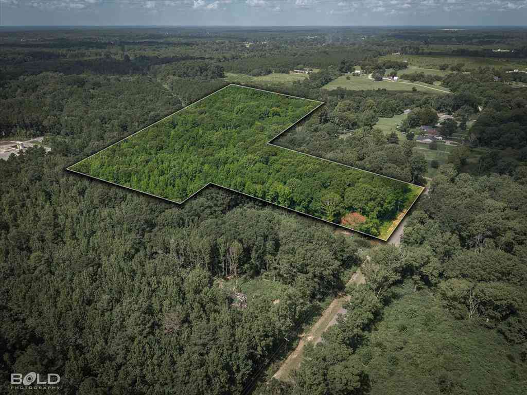 Vacant Land For Sale - Bledsoe<br/> Keithville, LA 71047