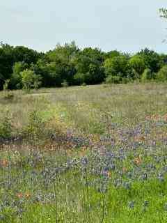 Vacant Land For Sale - 35 Longview Creek Trail<br/> Itasca, TX 76055