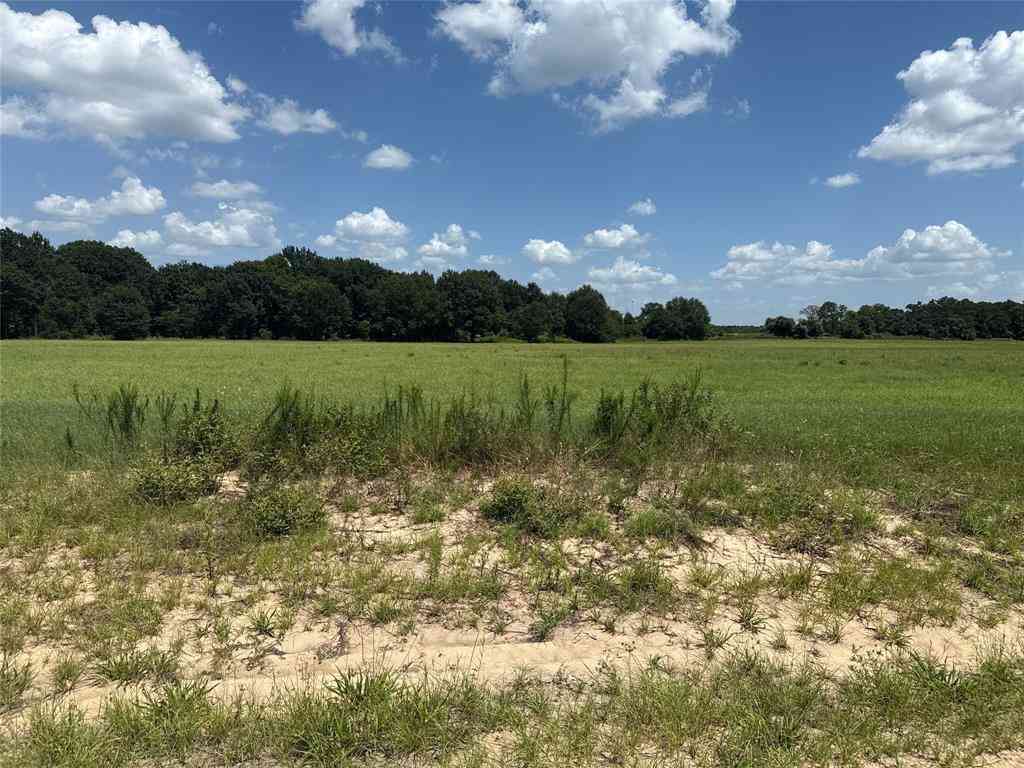 Vacant Land For Sale - TRACT 6 Us Hwy 175<br/> Athens, TX 75752