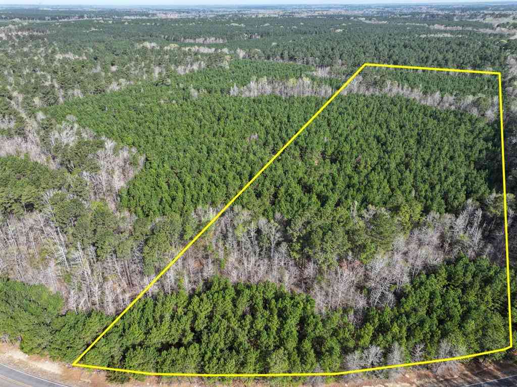 Vacant Land For Sale - 2 La 168<br/> Rodessa, LA 71069