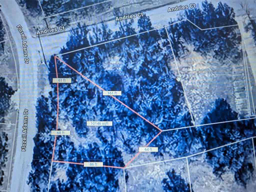 Vacant Land For Sale - LOT 20 BLK 9 Andrie's Ct. Court<br/> Wise County, Runaway Bay, TX 76426