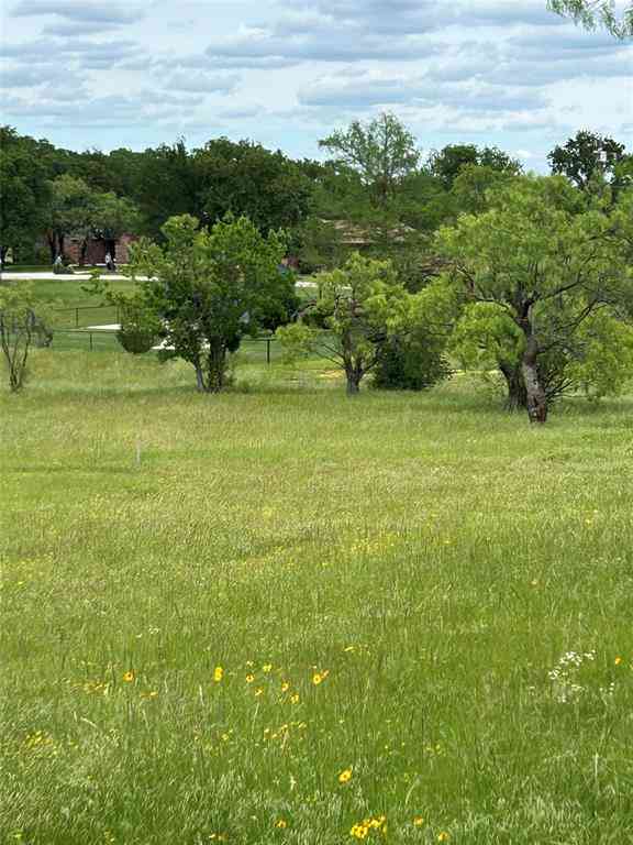 Vacant Land For Sale - 0000 Tryall Court<br/> Runaway Bay, TX 76426