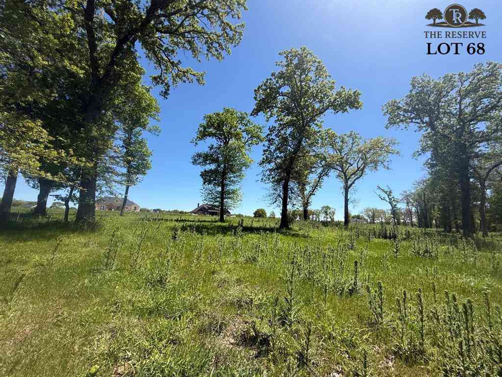 Vacant Land For Sale - LOT 68 Camden Lane<br/> Springtown, TX 76082