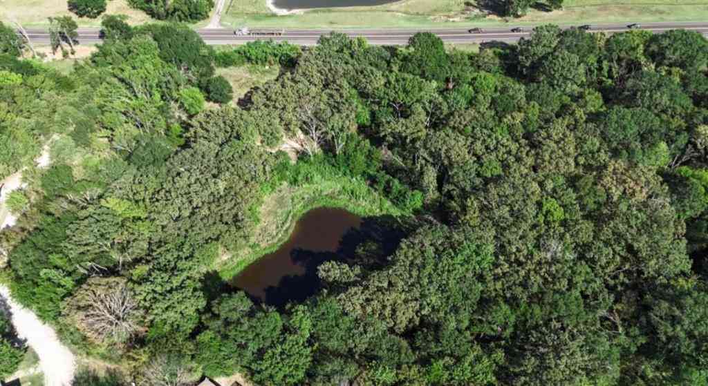 Vacant Land For Sale - 13488 State Hwy 19<br/> Canton, TX 75103