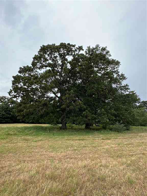 Vacant Land For Sale - TBD County Road 3515<br/> Dike, TX 75437