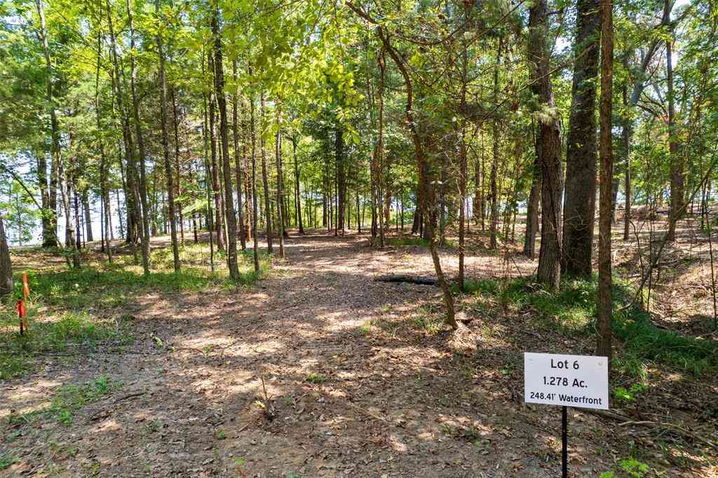 Vacant Land For Sale - TBD Private Rd 52447<br/> Leesburg, TX 75451