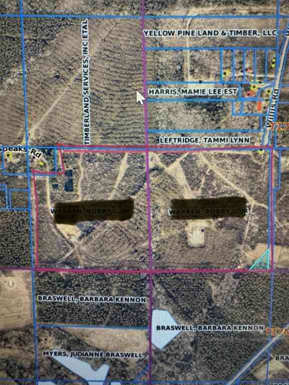Vacant Land For Sale - 582 Yellow Pine Road<br/> Webster County, Sibley, LA 71073
