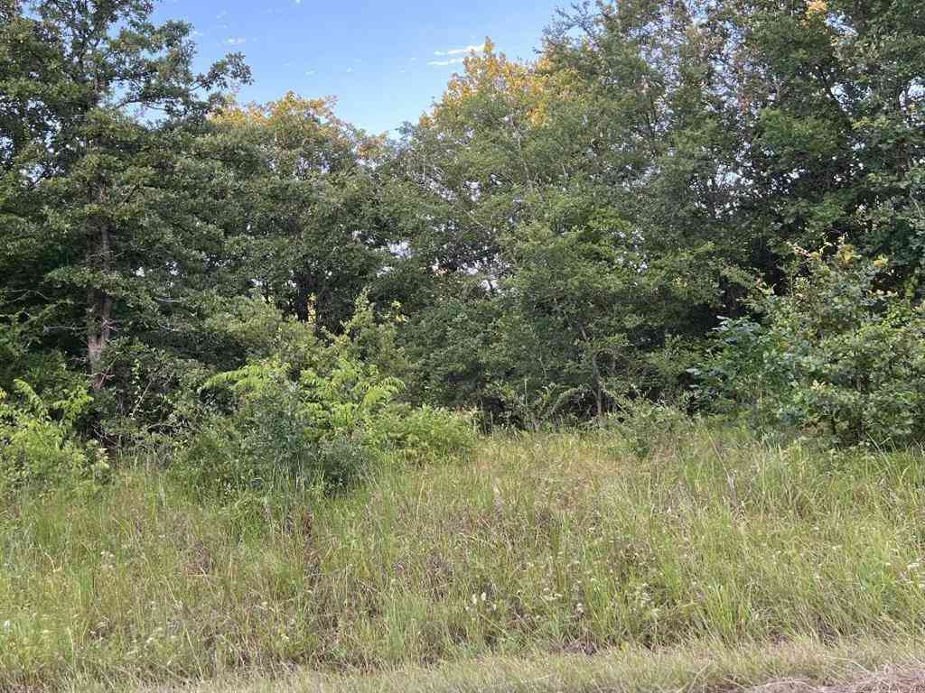 Vacant Land For Sale - 133 Pocahontas Street<br/> Mabank, TX 75156