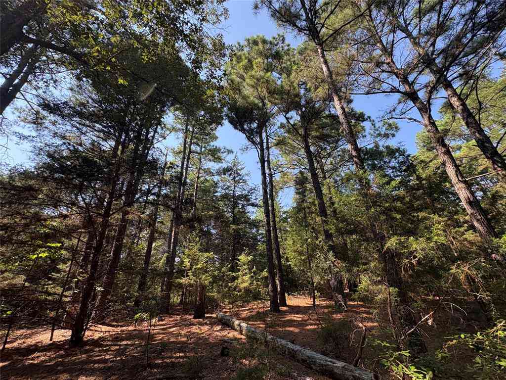 Vacant Land For Sale - TBD Fm 69 #TRACT 2<br/> Como, TX 75431