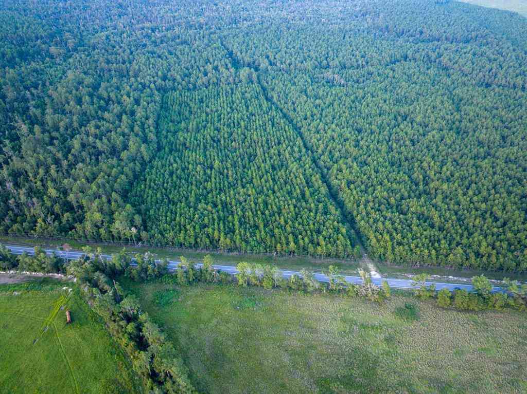 Vacant Land For Sale - T-1 Starks Big Woods Rd.<br/> Lake Charles, LA 70661