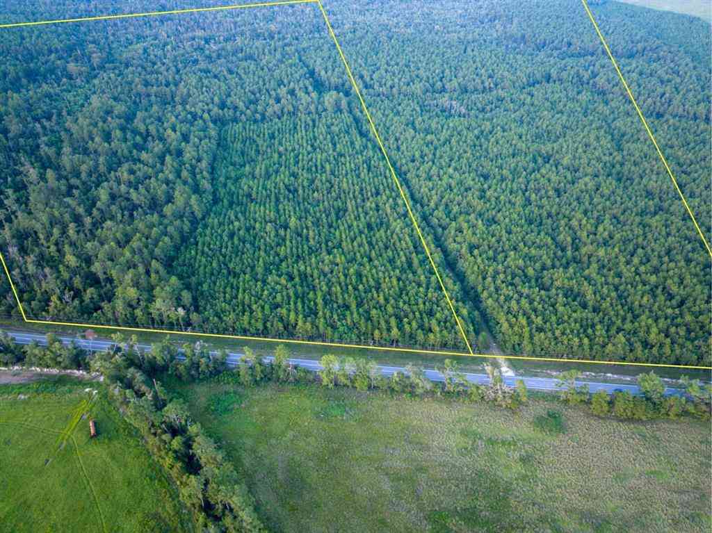 Vacant Land For Sale - T-3 Starks Big Woods Rd.<br/> Lake Charles, LA 70661