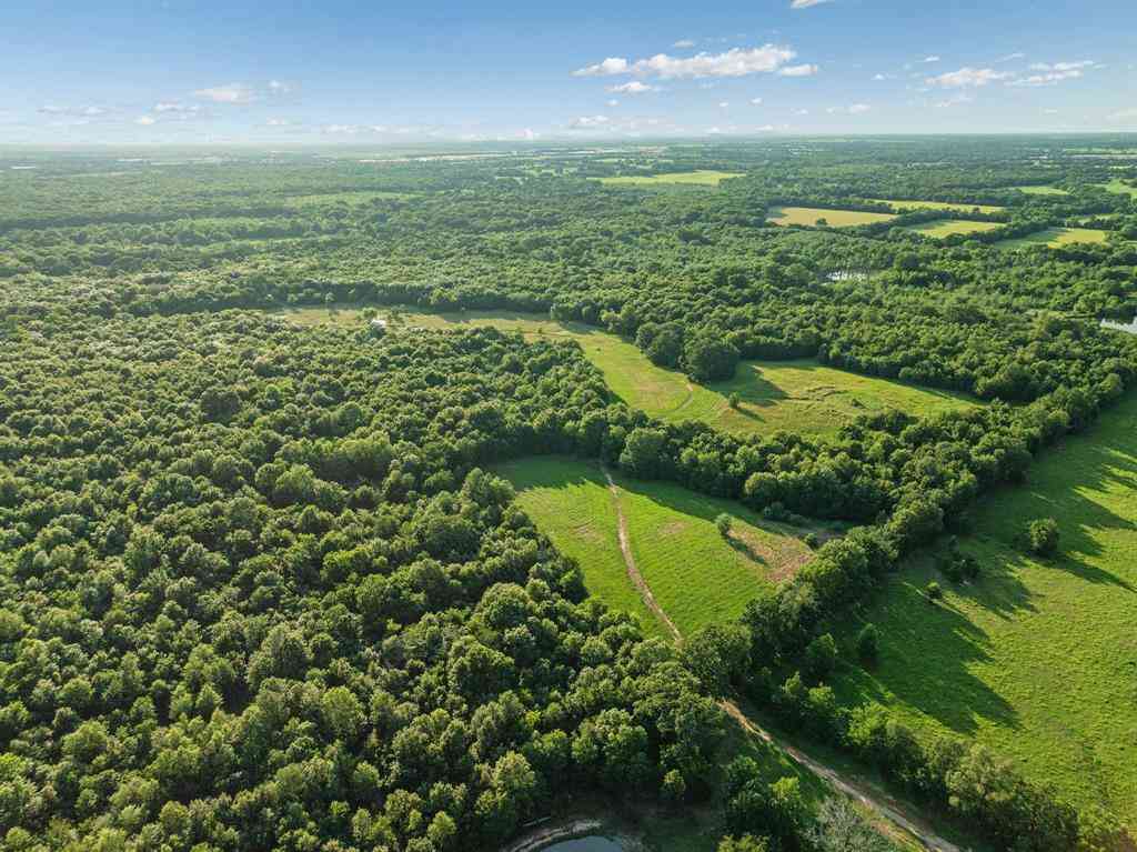 Vacant Land For Sale - 16918 Fr 410 S Road<br/> Lamar County, Cunningham, TX 75434