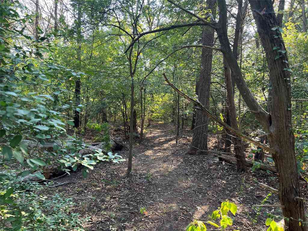 Vacant Land For Sale - 16333 Co Rd 339<br/> Kaufman County, Terrell, TX 75161