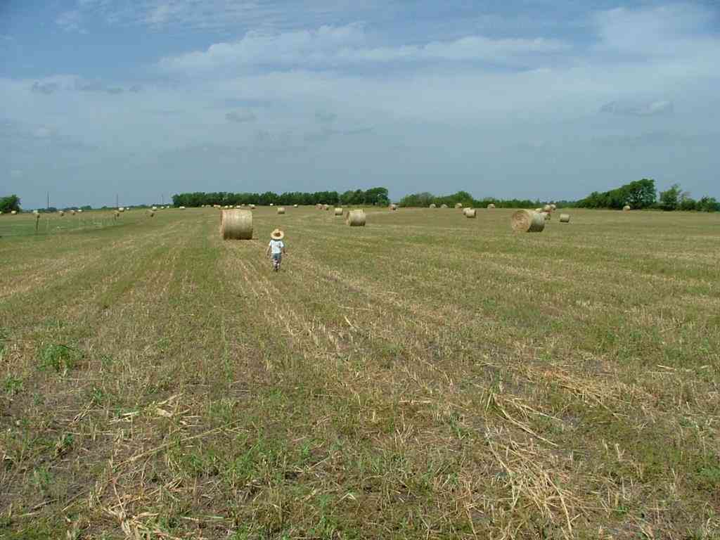 Vacant Land For Sale - 000 Mirage Drive<br/> Nevada, TX 75173