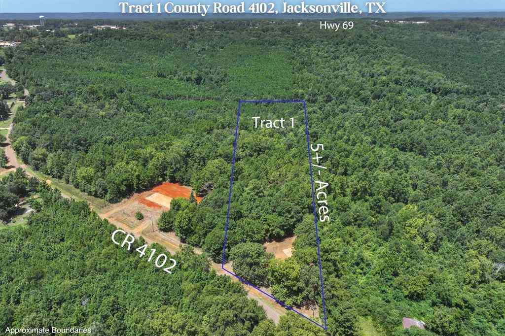 Vacant Land For Sale - TRACT 1 County Road 4102<br/> Cherokee County, Jacksonville, TX 75766