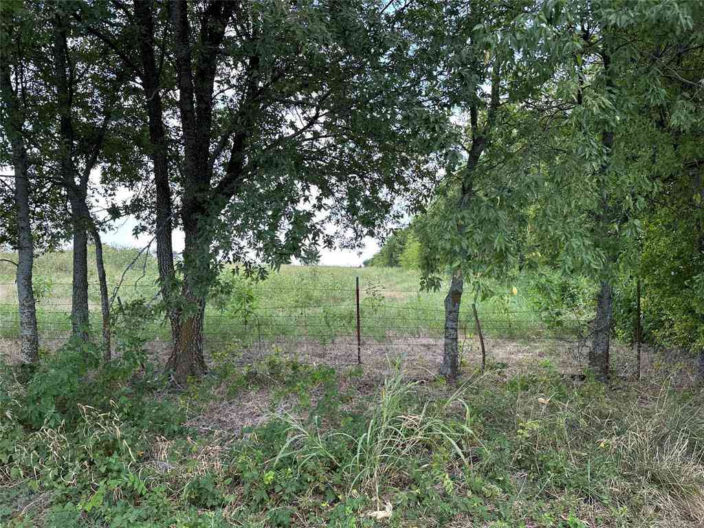 Vacant Land For Sale - LOT 1 Rutledge Road<br/> Whitewright, TX 75491