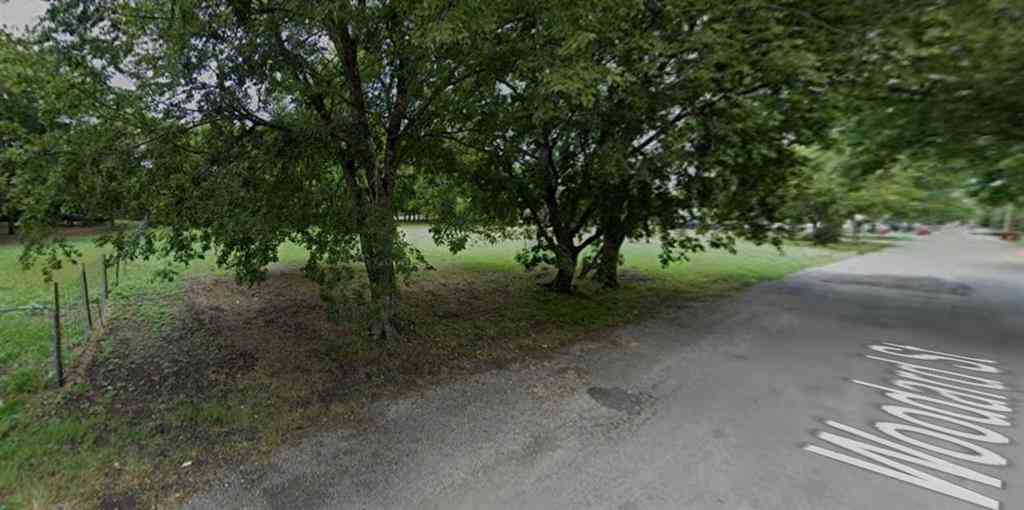 Vacant Land For Sale - 0000 Woodard Street<br/> Farmersville, TX 75442