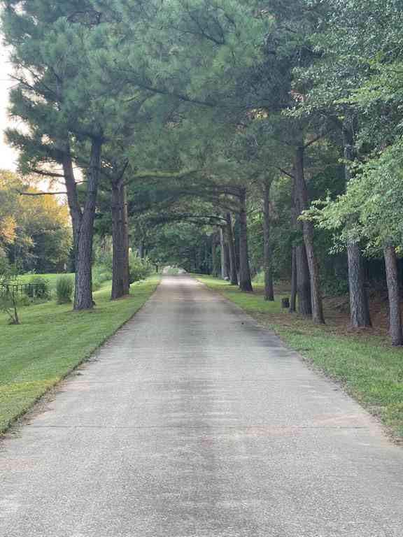 Vacant Land For Sale - 0000 Fm 2909 & Pr 8905<br/> Canton, TX 75103