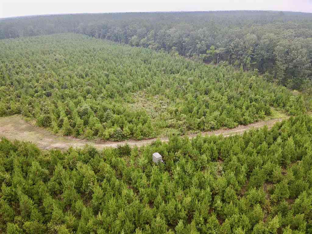 Vacant Land For Sale - 0000 Cr 2124<br/> Red River County, Clarksville, TX 75426