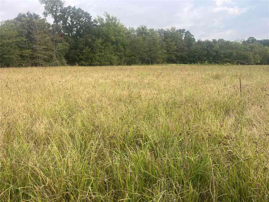 Vacant Land For Sale - CR 2353 Cr 2353<br/> Bagwell, TX 75412