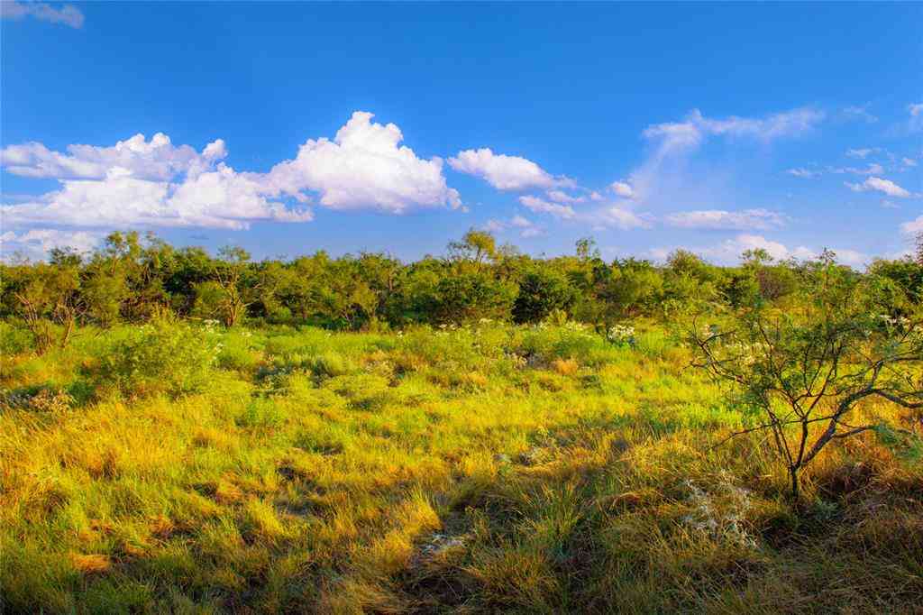 Vacant Land For Sale - 130 Mountain Drive<br/> Graford, TX 76449