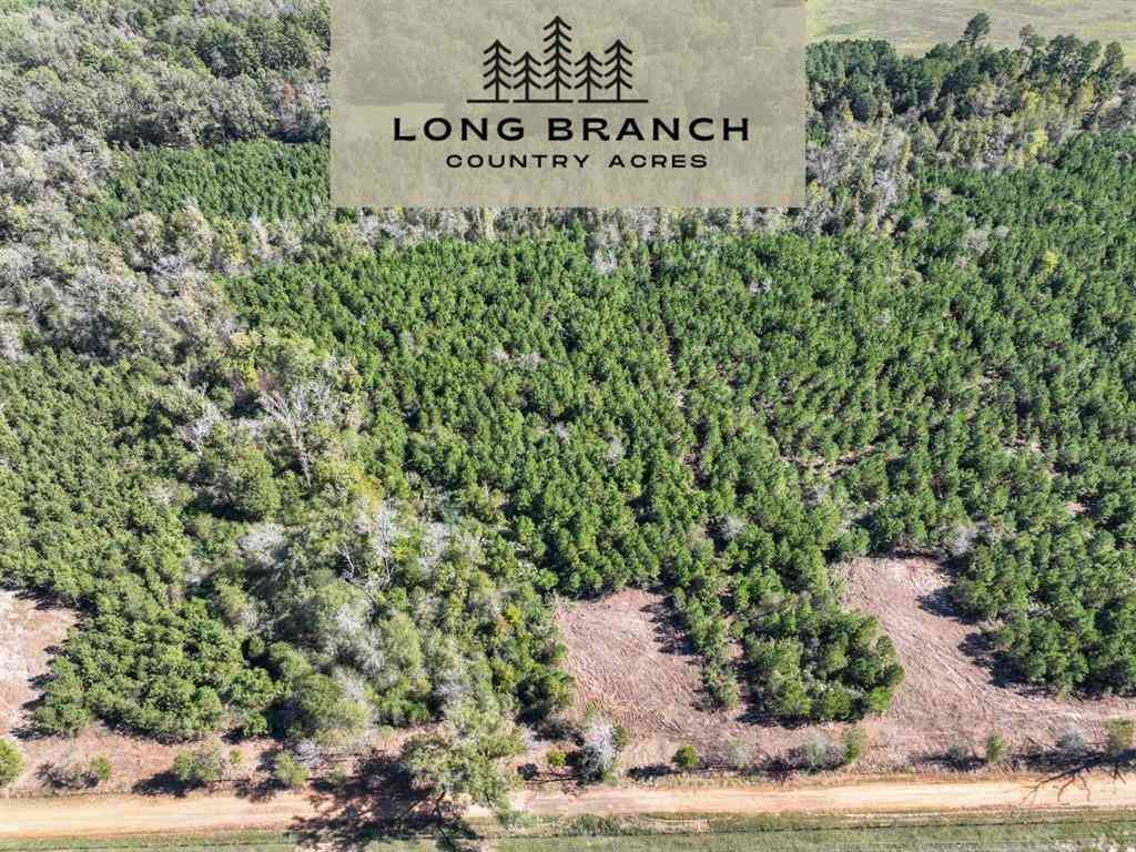 Vacant Land For Sale - 6 County Road 3121<br/> Long Branch, TX 75669